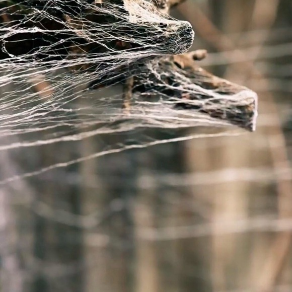 NEW Webcaster Gun II - Picture 4 of 4